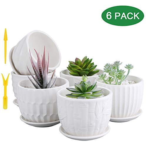 Planters for Succuelnt and Little Snake Plants Brajttt 5 Inch Cylinder Ceramic Plant Pots with Connected Saucer 4 Pack, White Flower Pots and Transplanter 
